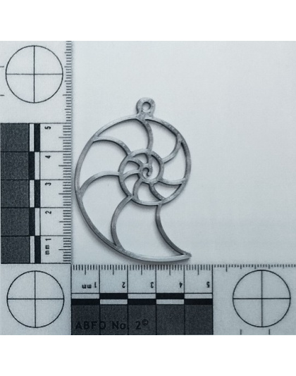 Boucles d'Oreilles "Nautile" - Style Graphique &amp; Nature